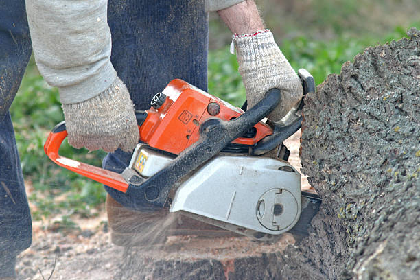 Best Aeration Services  in Bryn Mawr Skyy, WA